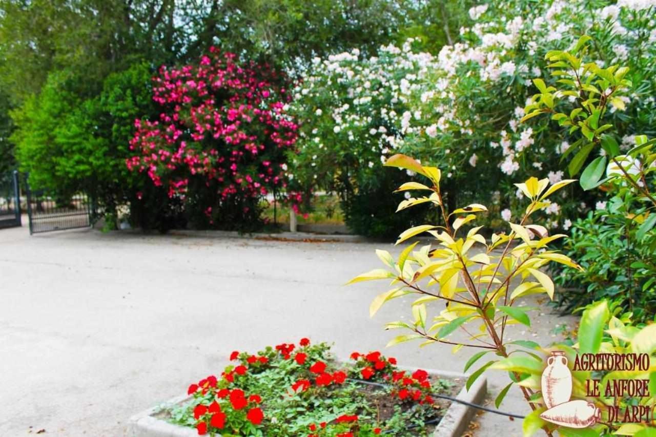 Le Anfore Di Arpi Foggia Phòng bức ảnh