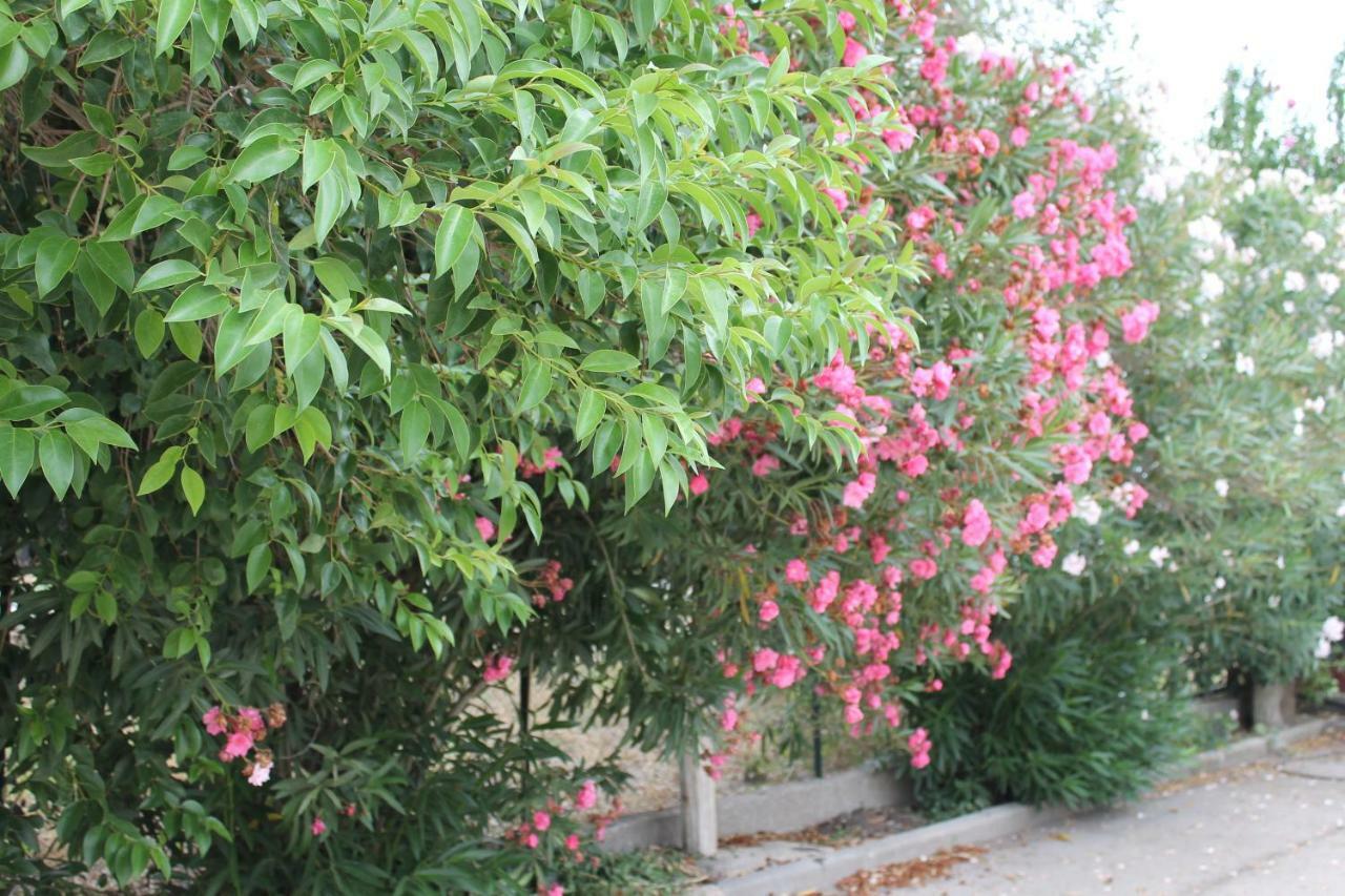 Le Anfore Di Arpi Foggia Ngoại thất bức ảnh
